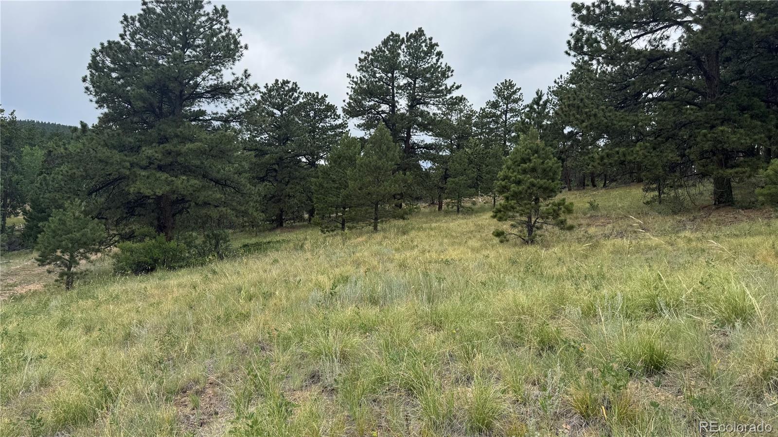 3 Church Placer Road Central City, CO 80427 - Photo 5 of 17 a view of room with trees