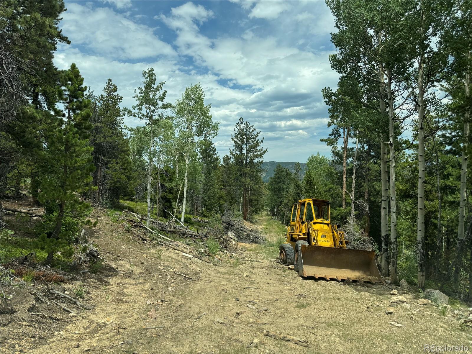 3 Church Placer Road Central City, CO 80427 - Photo 7 of 17 a view of a park with large trees