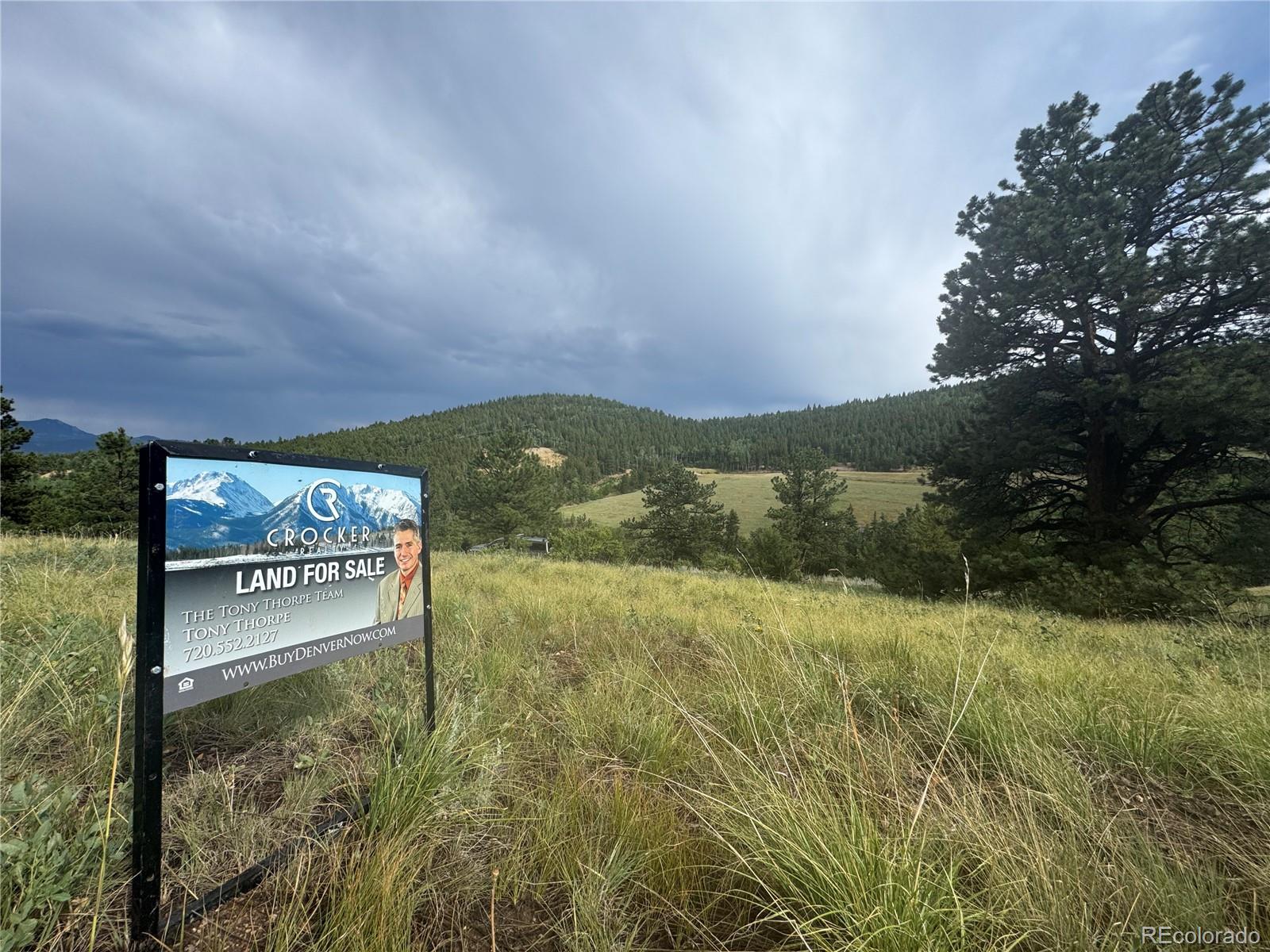 3 Church Placer Road Central City, CO 80427 - Photo 8 of 17 a view of a back yard of the house