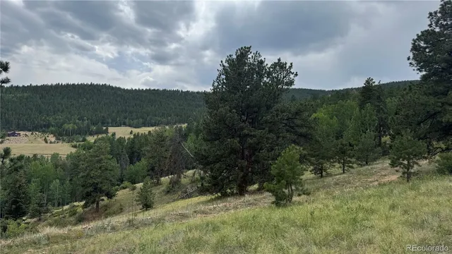 an aerial view of mountain with trees