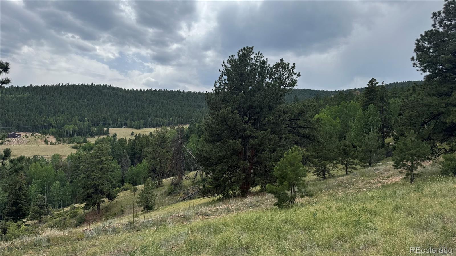 3 Church Placer Road Central City, CO 80427 - Photo 10 of 17 an aerial view of mountain with trees