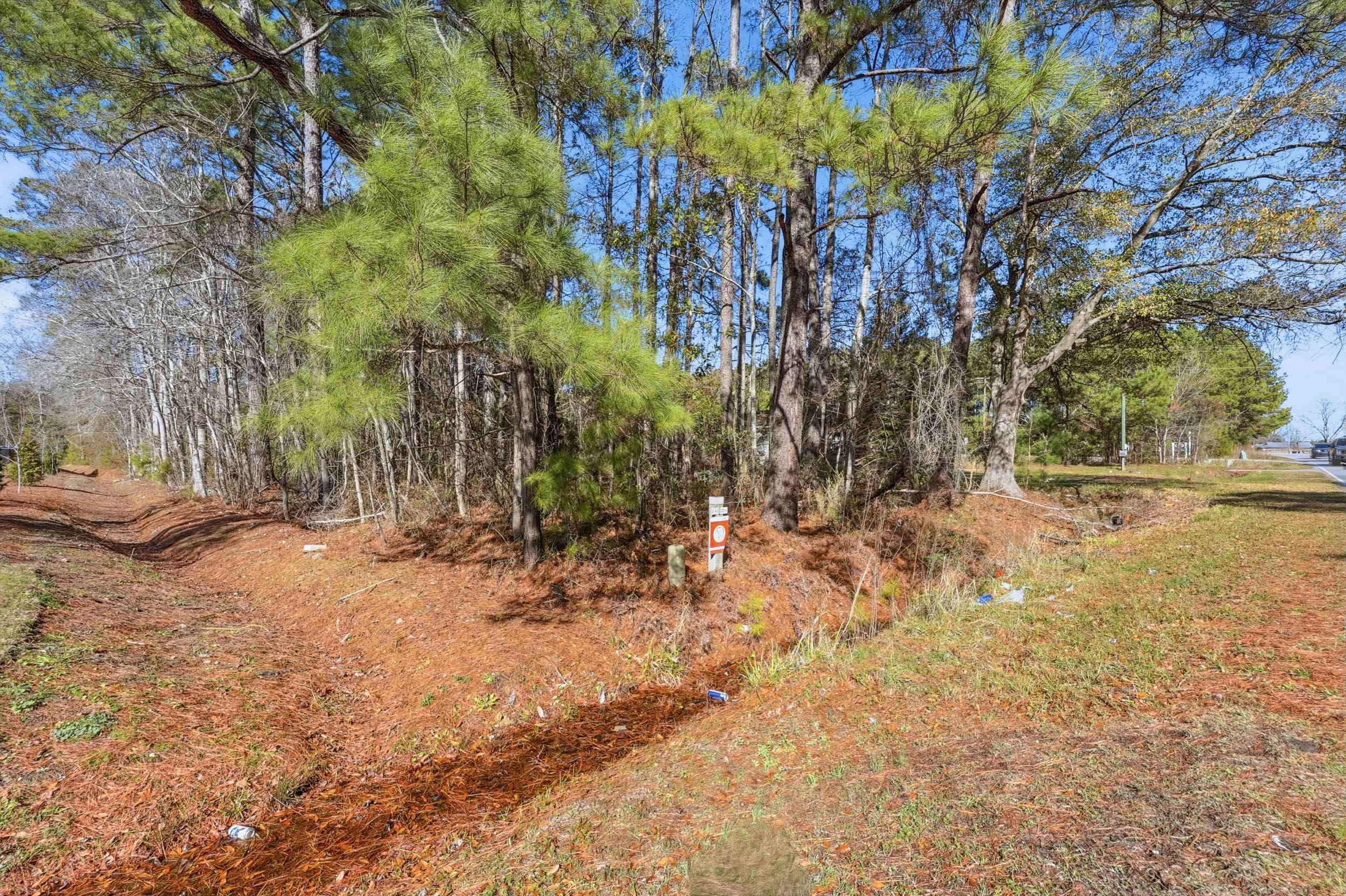 57 Little River Longs, SC 29568 - Photo 6 of 6 View of undeveloped land