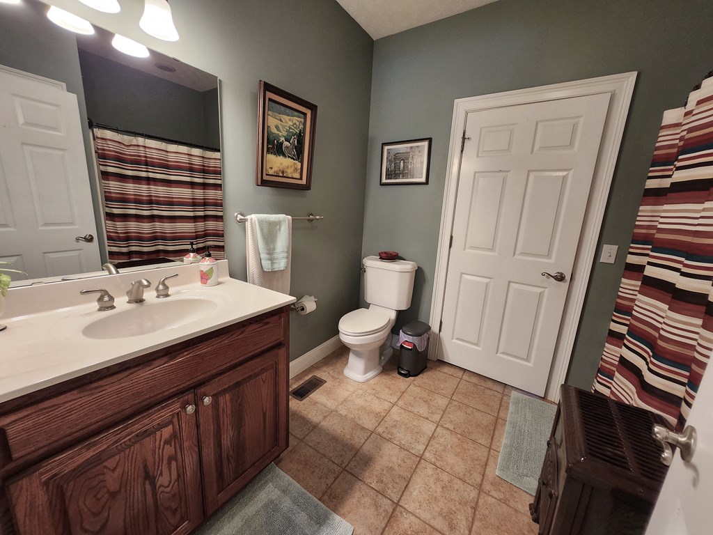 742 County Line Road Buena Vista, GA 31803 - Photo 17 of 74 Private Bath from Guest Room