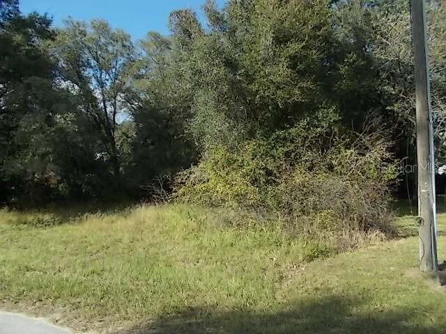 Wayne Road Fruitland Park, FL 34731 - Photo 1 of 1 Gallery Image 1