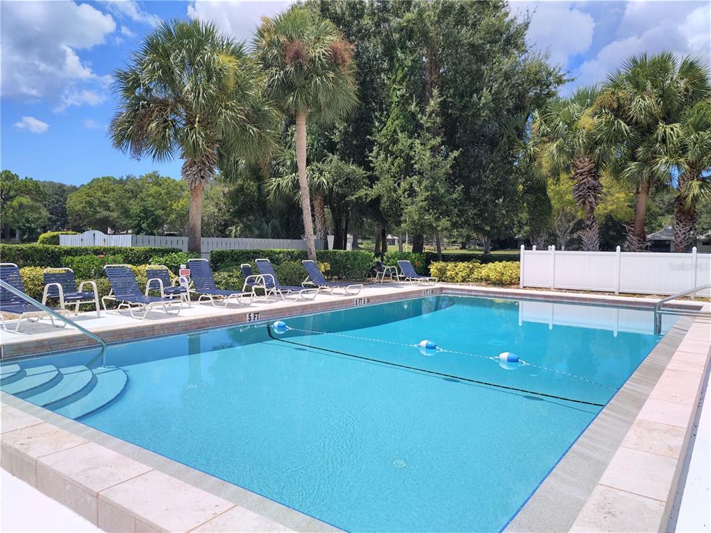 276 Cerromar Way South, Unit 60 Venice, FL 34293 - Photo 29 of 31 a view of a swimming pool with a lounge chair