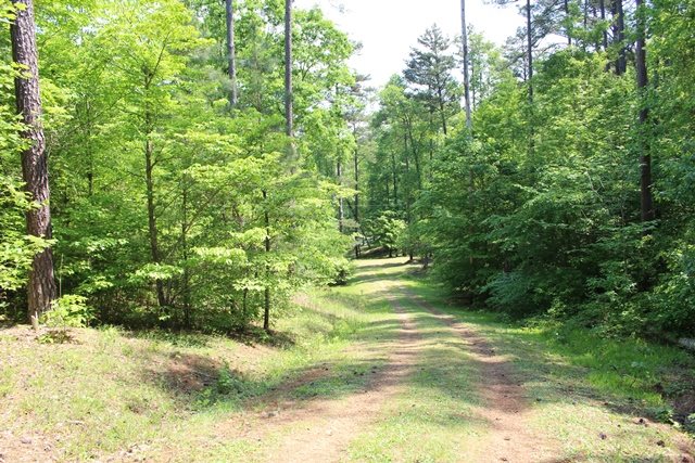 330 Two Rivers Road Westminster, SC 29693 - Photo 22 of 29 Gallery Image 22