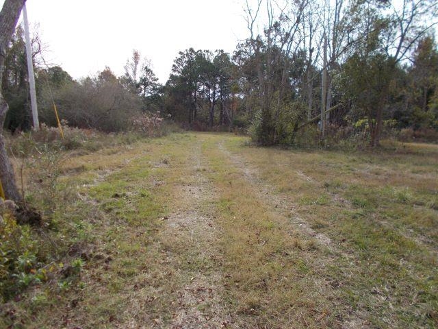 12230 Bay Road West Foley, AL 36535 - Photo 12 of 26