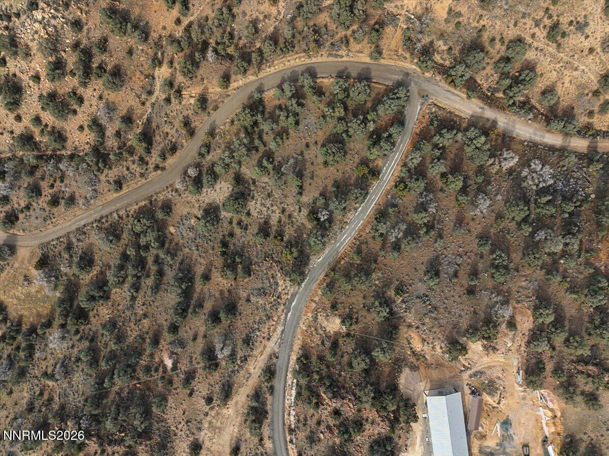 2300 Temple Hill Road Reno, NV 89521 - Photo 54 of 63 a close up of a tree