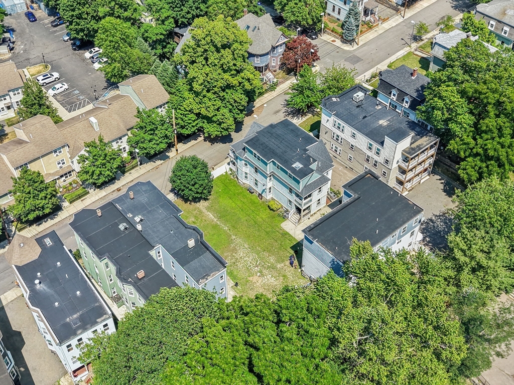 34 Cobden Street Boston, MA 02119 - Photo 6 of 8