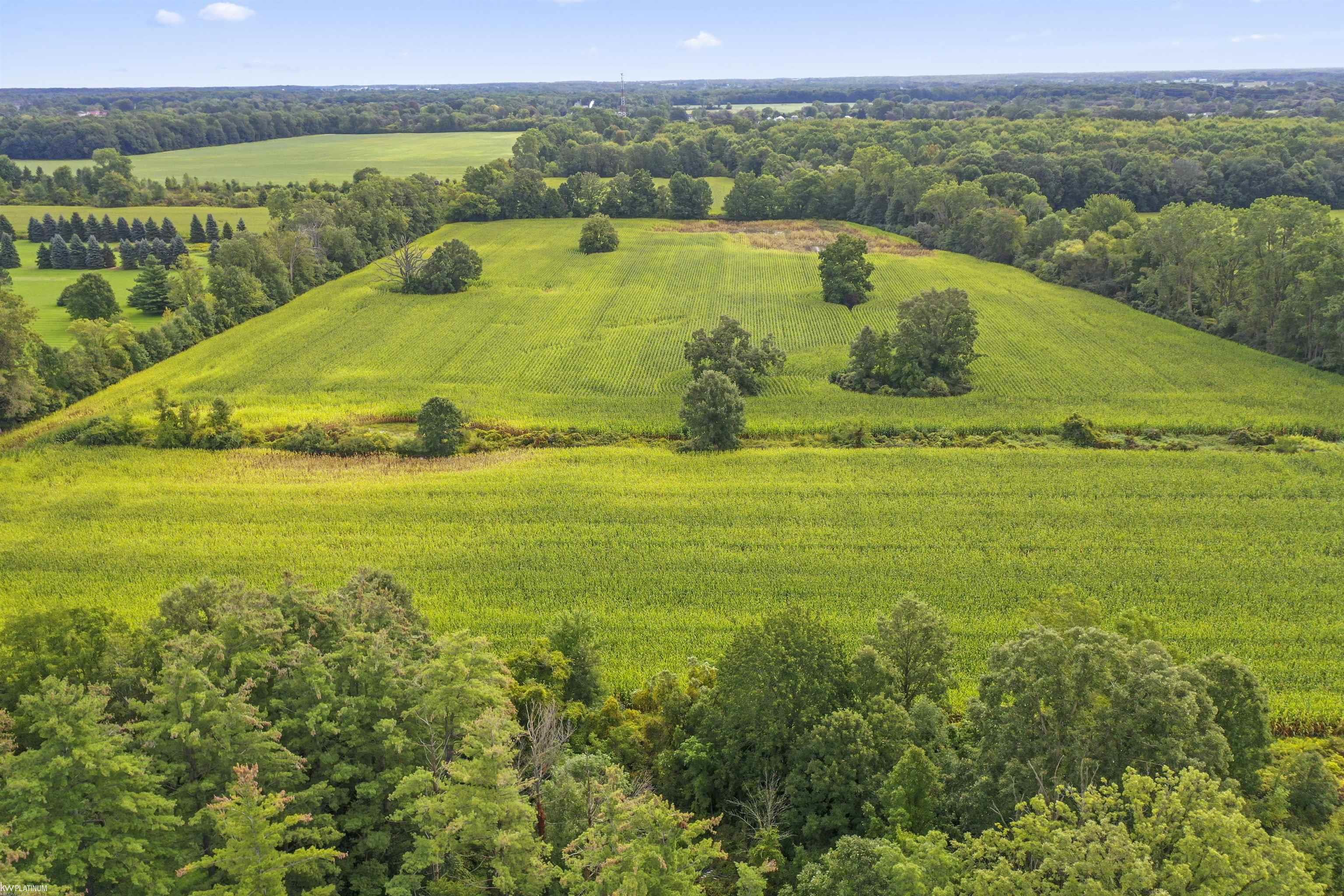 Vl Armada Ridge Road Armada, MI 48005 - Photo 6 of 8