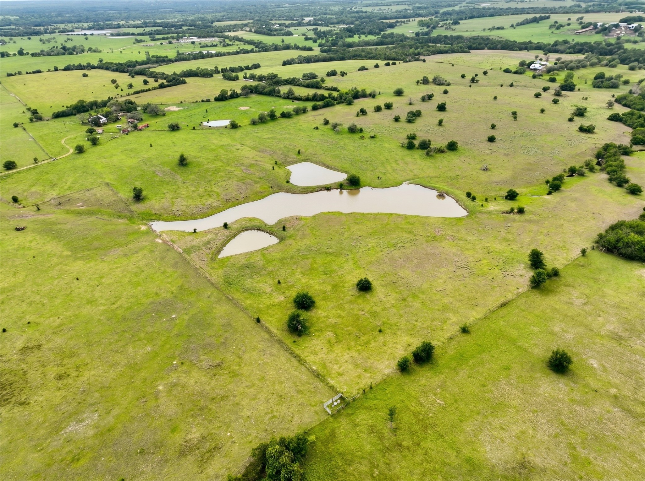 4425 Franke Road New Ulm, TX 78950 - Photo 2 of 11