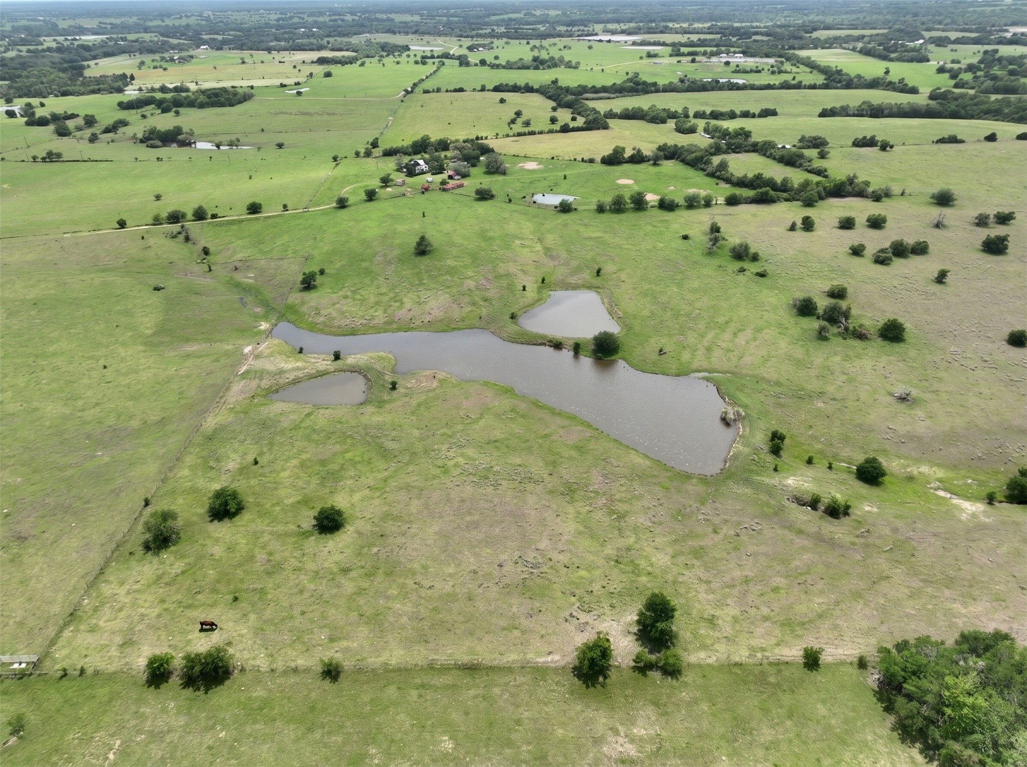 4425 Franke Road New Ulm, TX 78950 - Photo 4 of 11