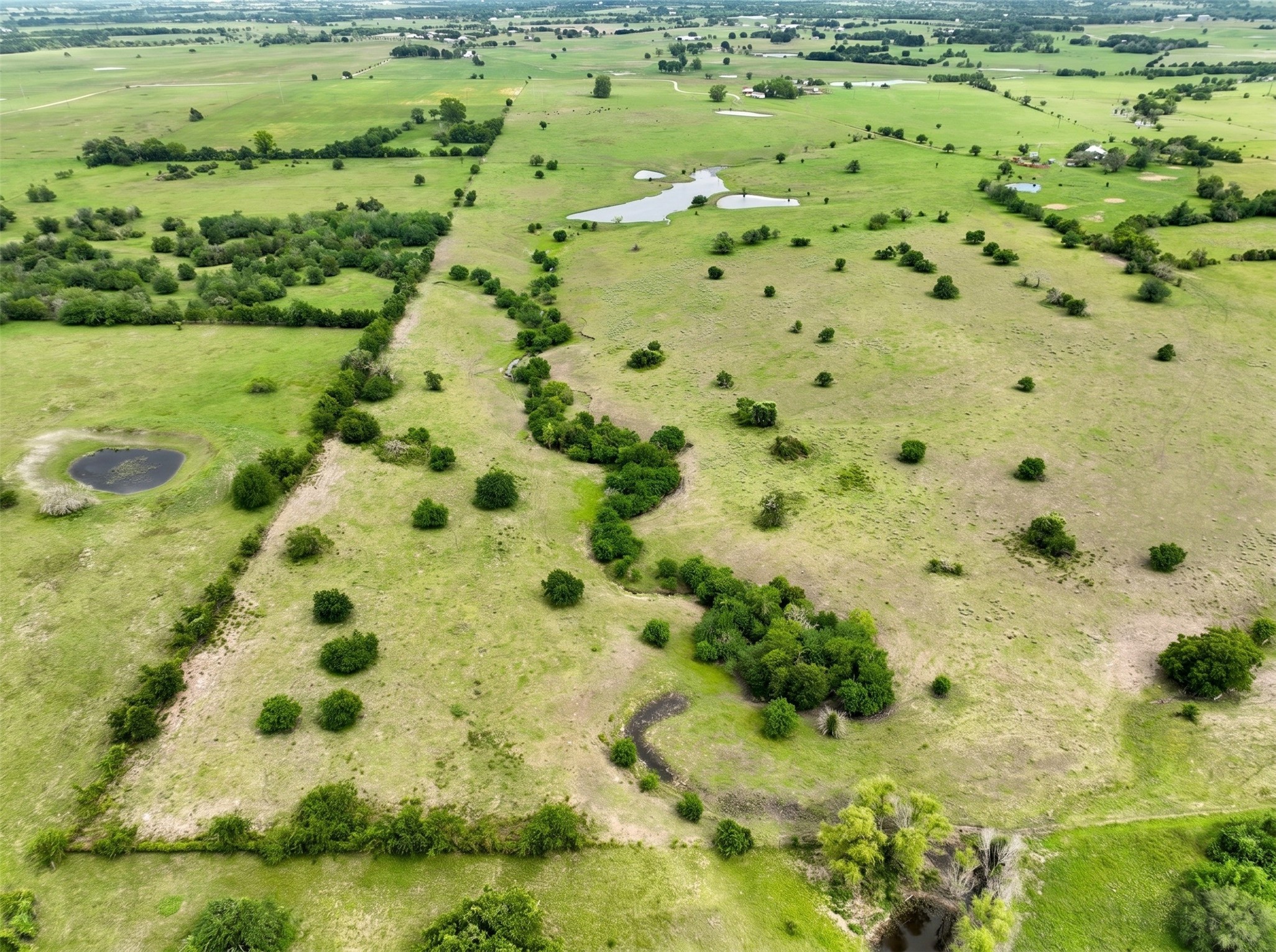 4425 Franke Road New Ulm, TX 78950 - Photo 6 of 11
