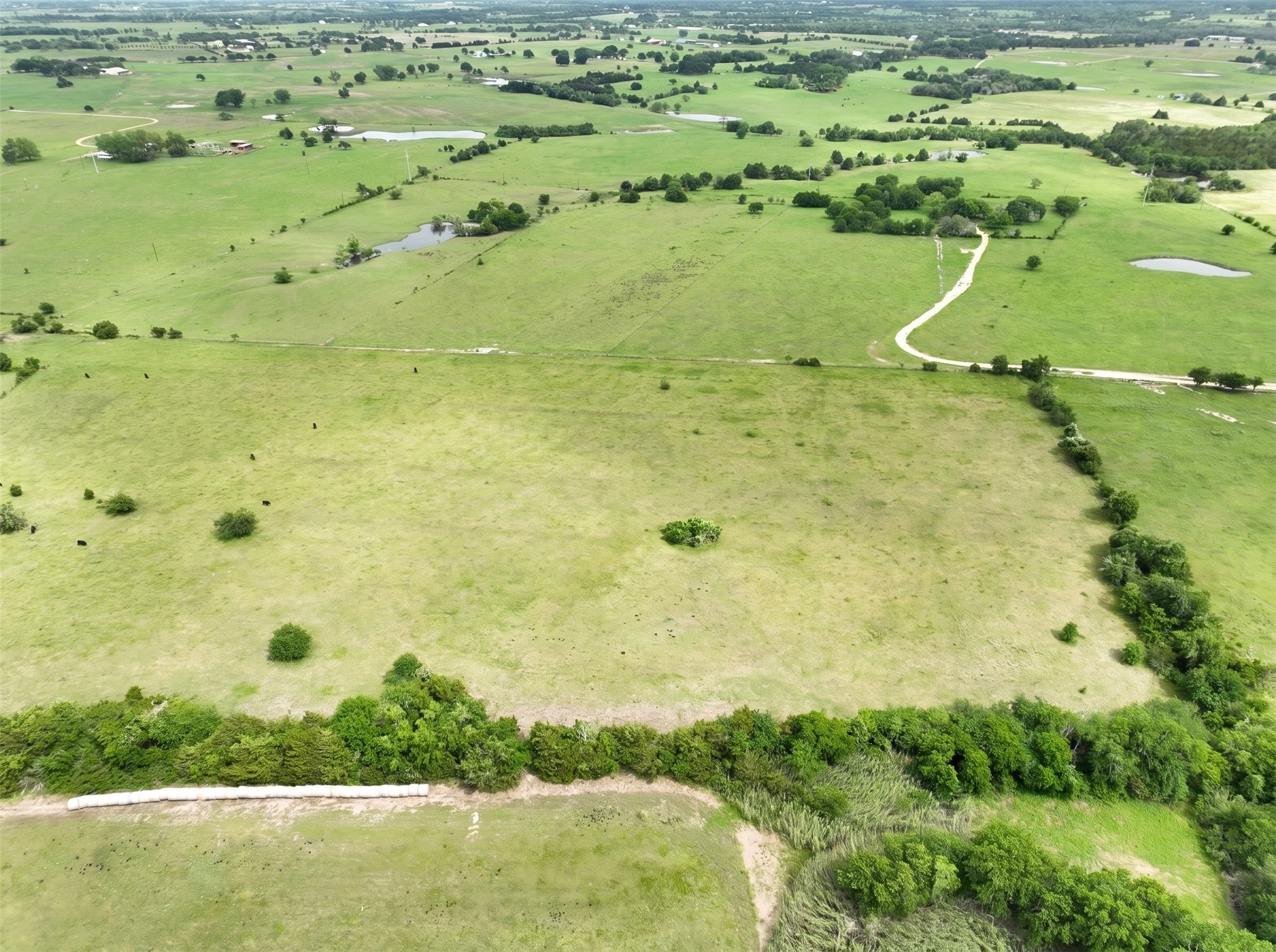 4425 Franke Road New Ulm, TX 78950 - Photo 7 of 11