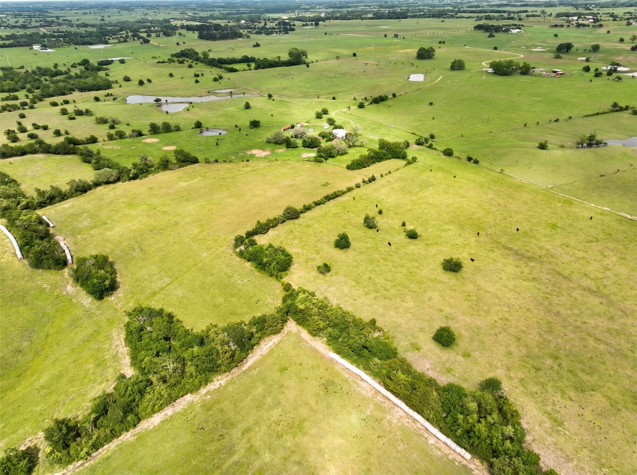 4425 Franke Road New Ulm, TX 78950 - Photo 8 of 11