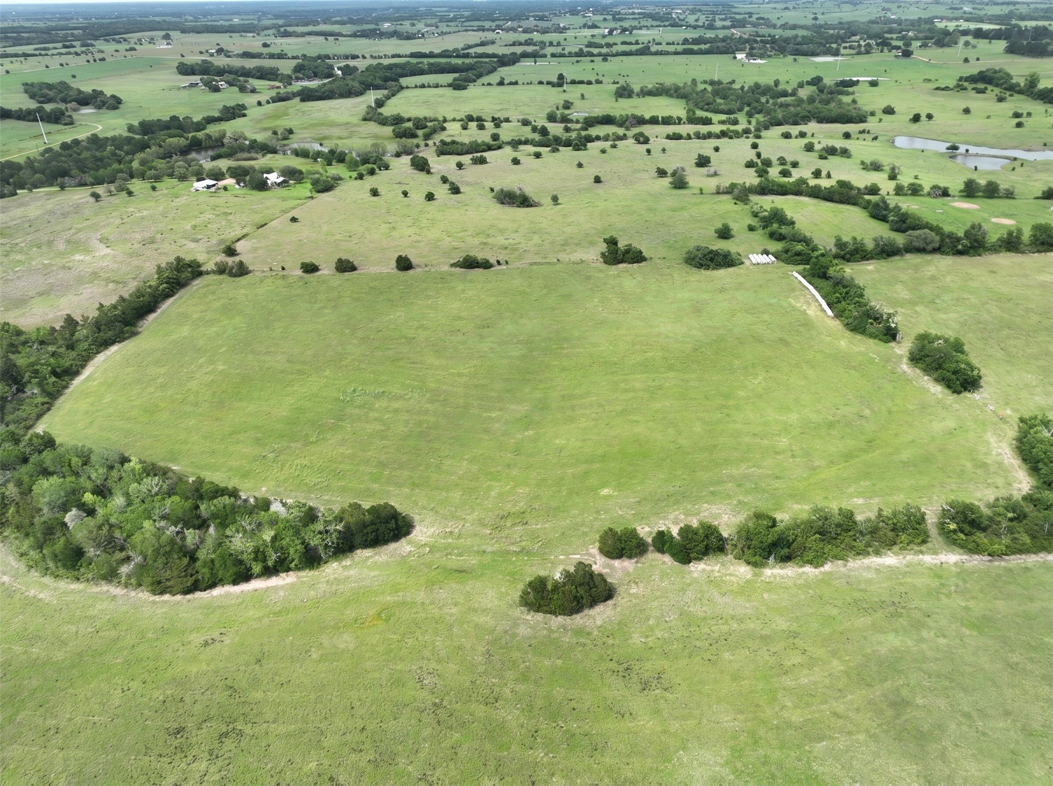 4425 Franke Road New Ulm, TX 78950 - Photo 9 of 11