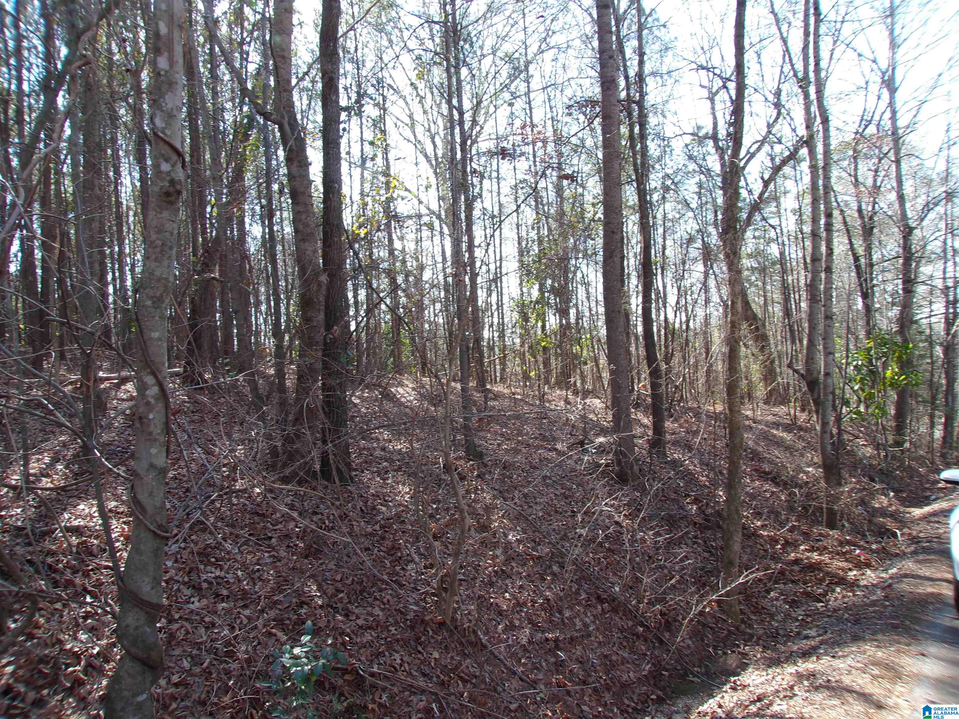 0 Arthur Drive, Unit 27 Weaver, AL 36277 - Photo 10 of 15