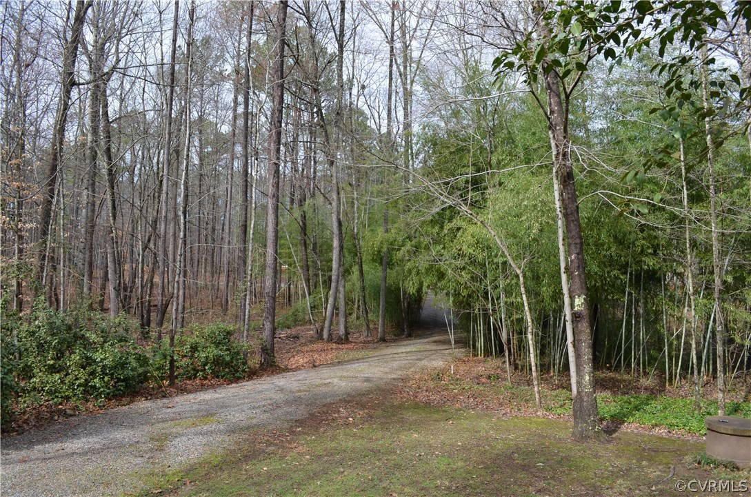 1370 Stavemill Road Powhatan, VA 23139 - Photo 28 of 34 front porch view of the driveway towards Stavemill