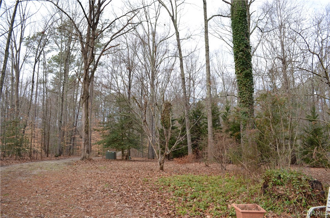 1370 Stavemill Road Powhatan, VA 23139 - Photo 34 of 34 view from the front porch of the brick rancher