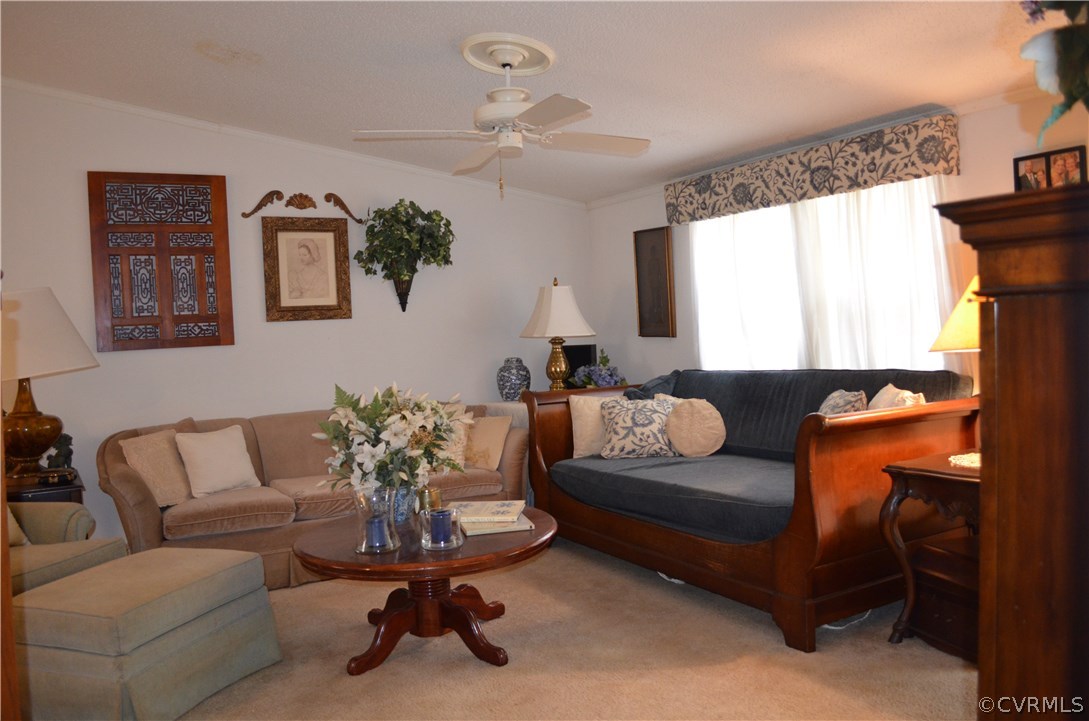 1370 Stavemill Road Powhatan, VA 23139 - Photo 5 of 34 living room from master bedroom door