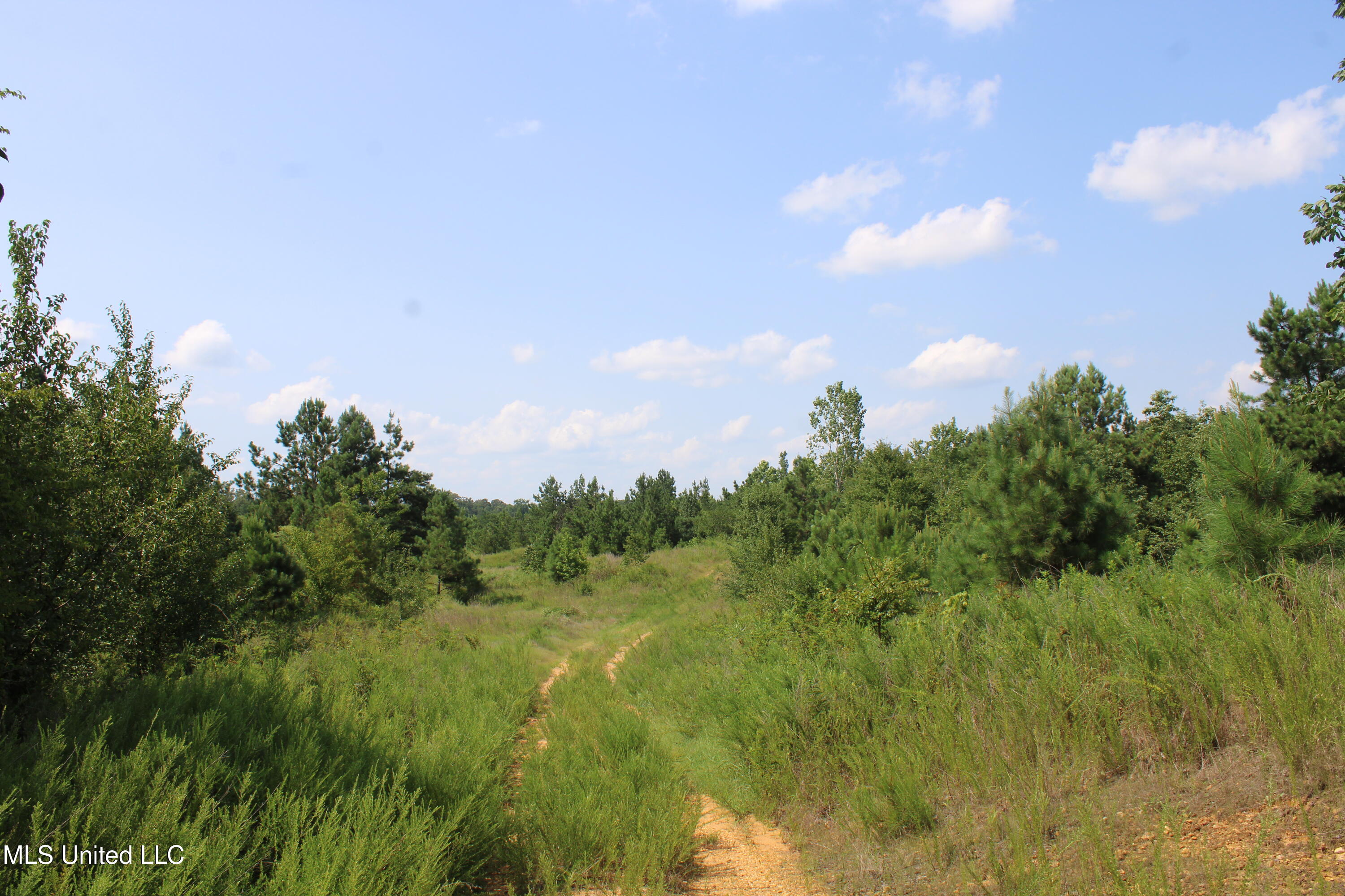3466 Bethel Road Olive Branch, MS 38654 - Photo 64 of 86 IMG_1714
