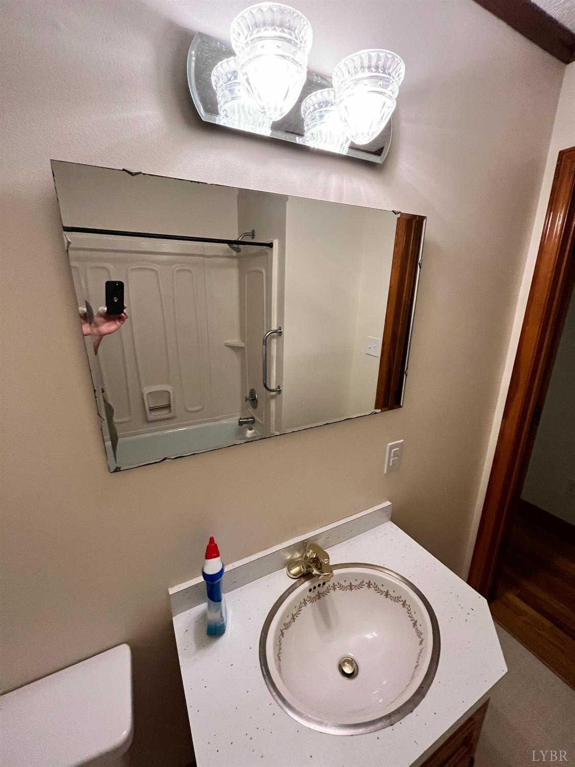 73 High View Place Lynchburg, VA 24502 - Photo 8 of 25 a bathroom with a sink mirror and toilet