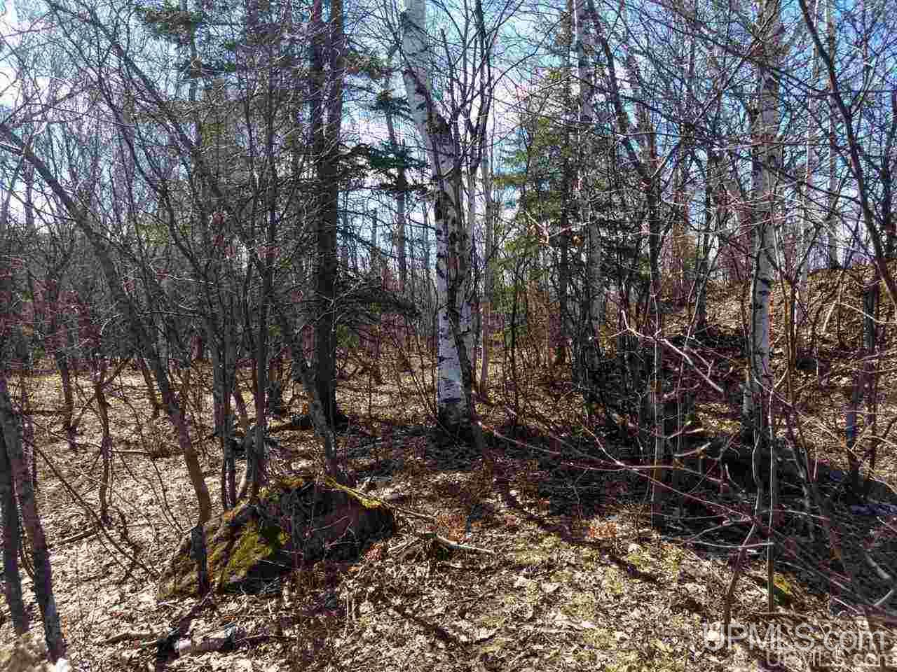 Tbd Old County Road Calumet, MI 49913 - Photo 10 of 21 Gallery Image 10