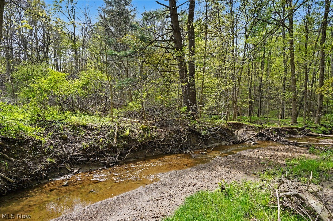 12376 Heath Road Chesterland, OH 44026 - Photo 46 of 50 The stream that runs through the property