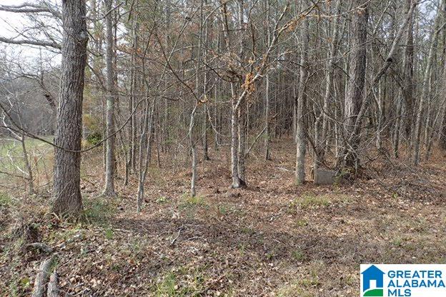 0 Macedonia Road, Unit 1 Sylacauga, AL 35150 - Photo 3 of 8