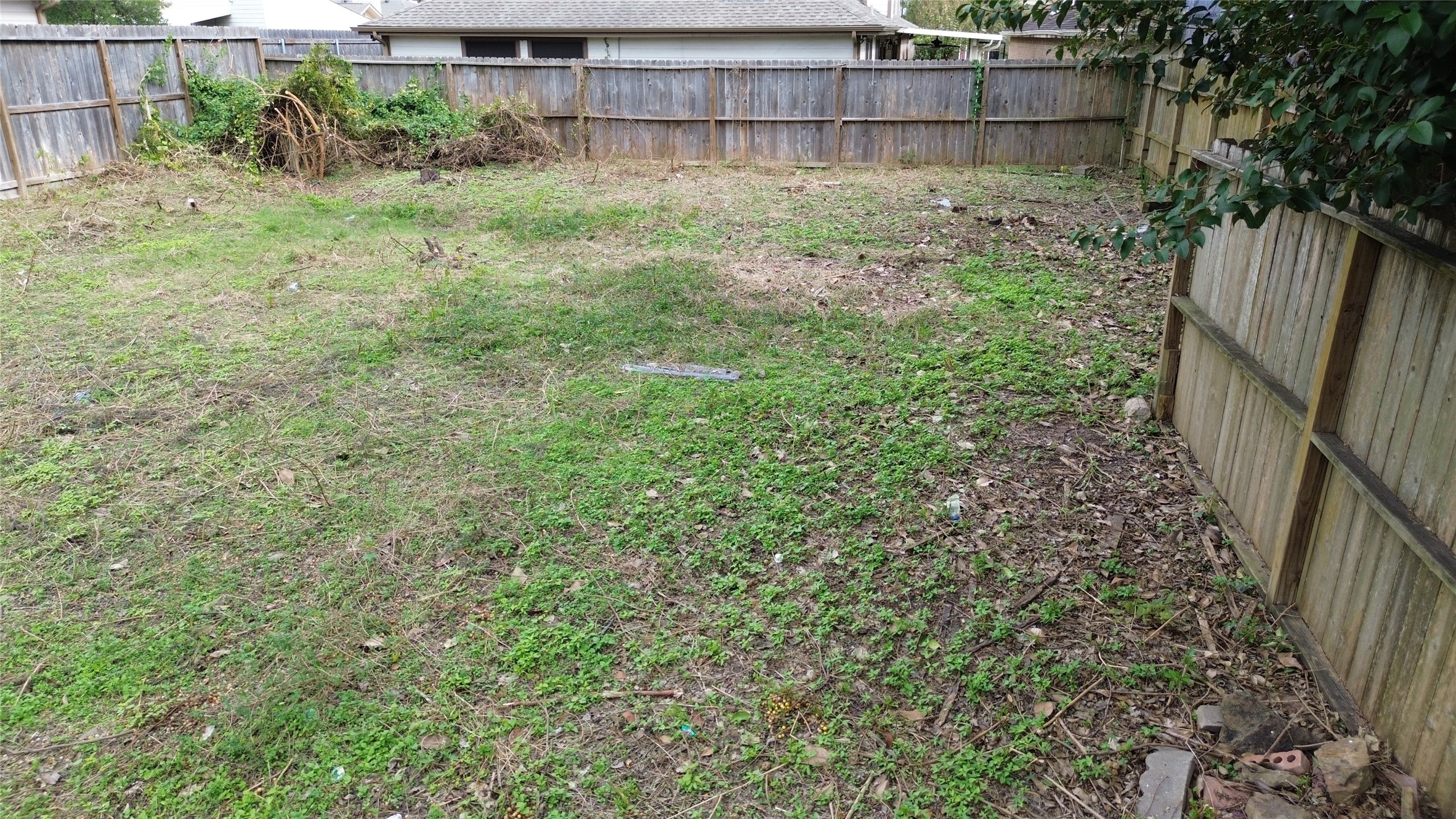 1533 Beaconshire Houston, TX 77077 - Photo 4 of 9 a view of backyard with green space