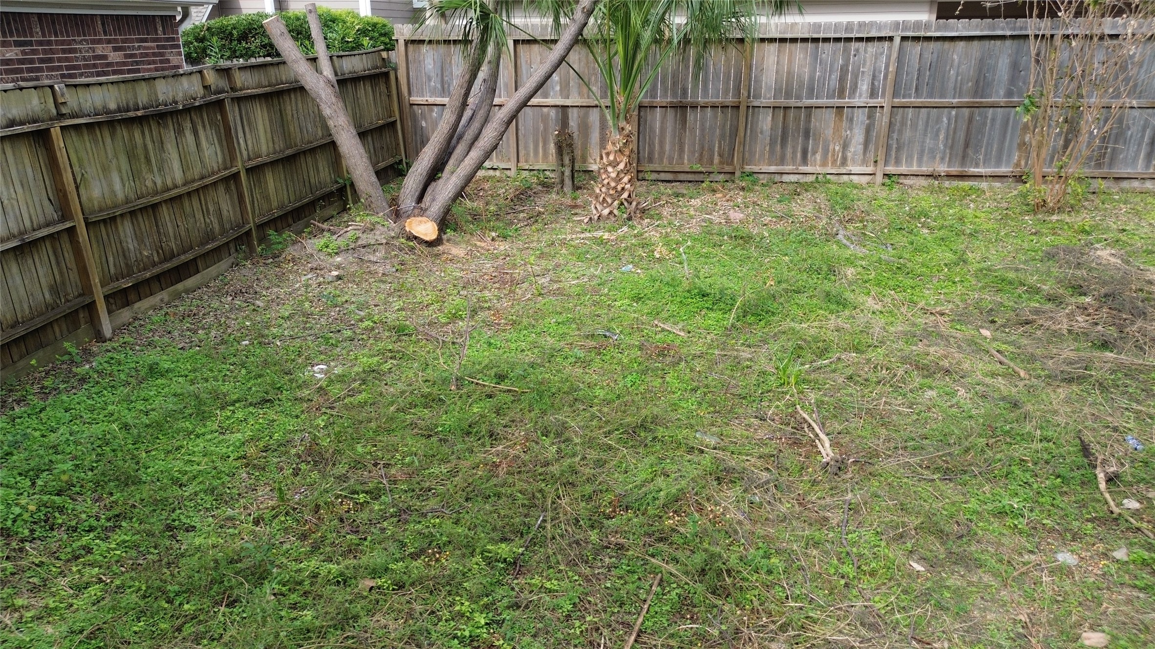 1533 Beaconshire Houston, TX 77077 - Photo 5 of 9 a view of backyard with wooden fence and a large tree