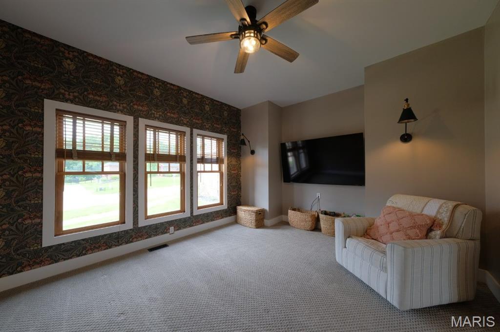 823 Ridge Road Waterloo, IL 62298 - Photo 24 of 94