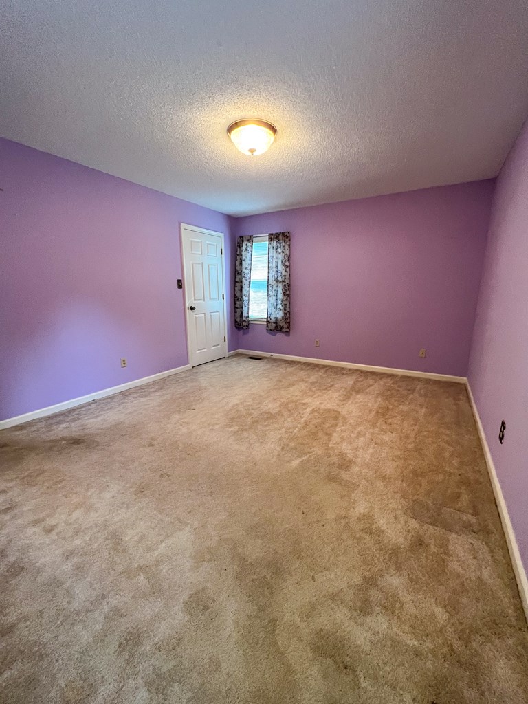 1377 Puckett Ferry Road Cross Hill, SC 29332 - Photo 15 of 22 Gallery Image 15
