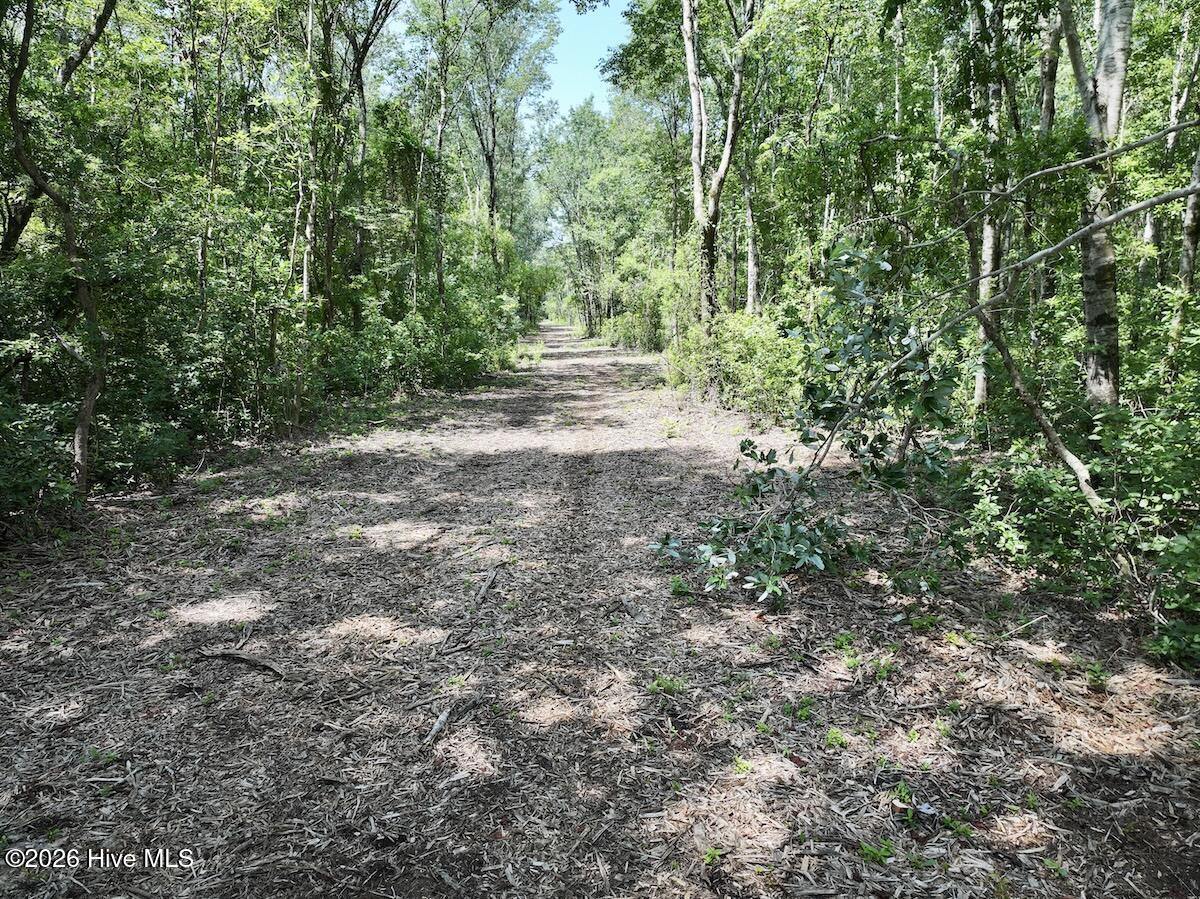 28 Guinea Mill Road Ernul, NC 28527 - Photo 1 of 21