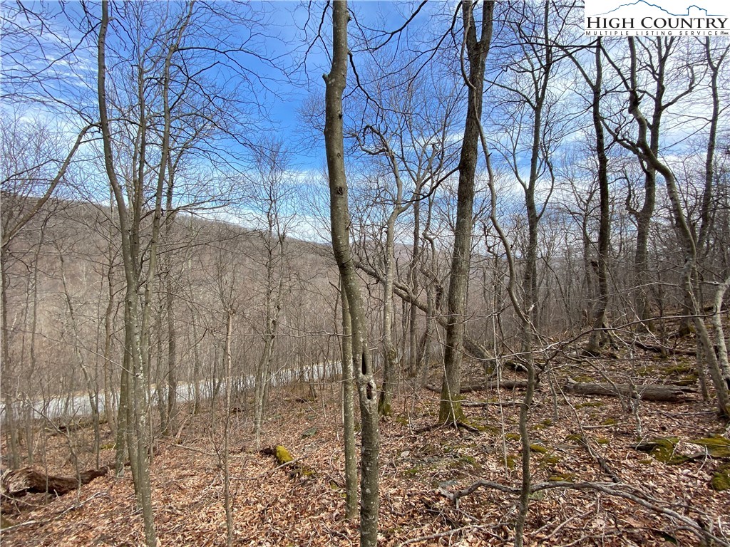 Bob Timberlake Drive Boone, NC 28607 - Photo 20 of 49 Gallery Image 20