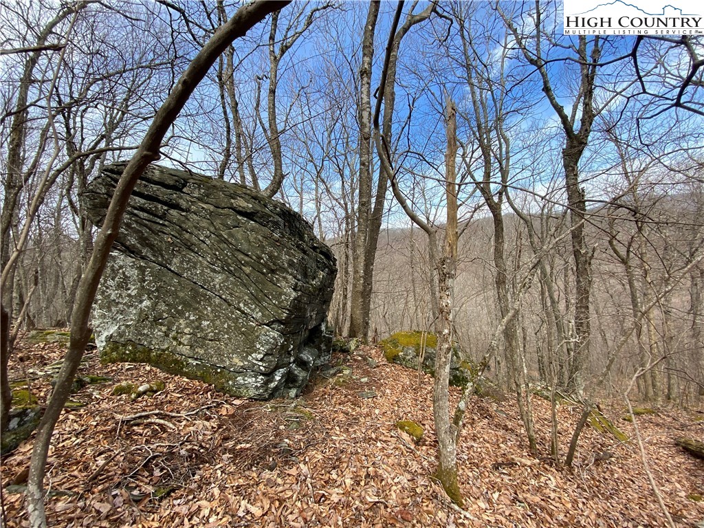 Bob Timberlake Drive Boone, NC 28607 - Photo 23 of 49 Gallery Image 23