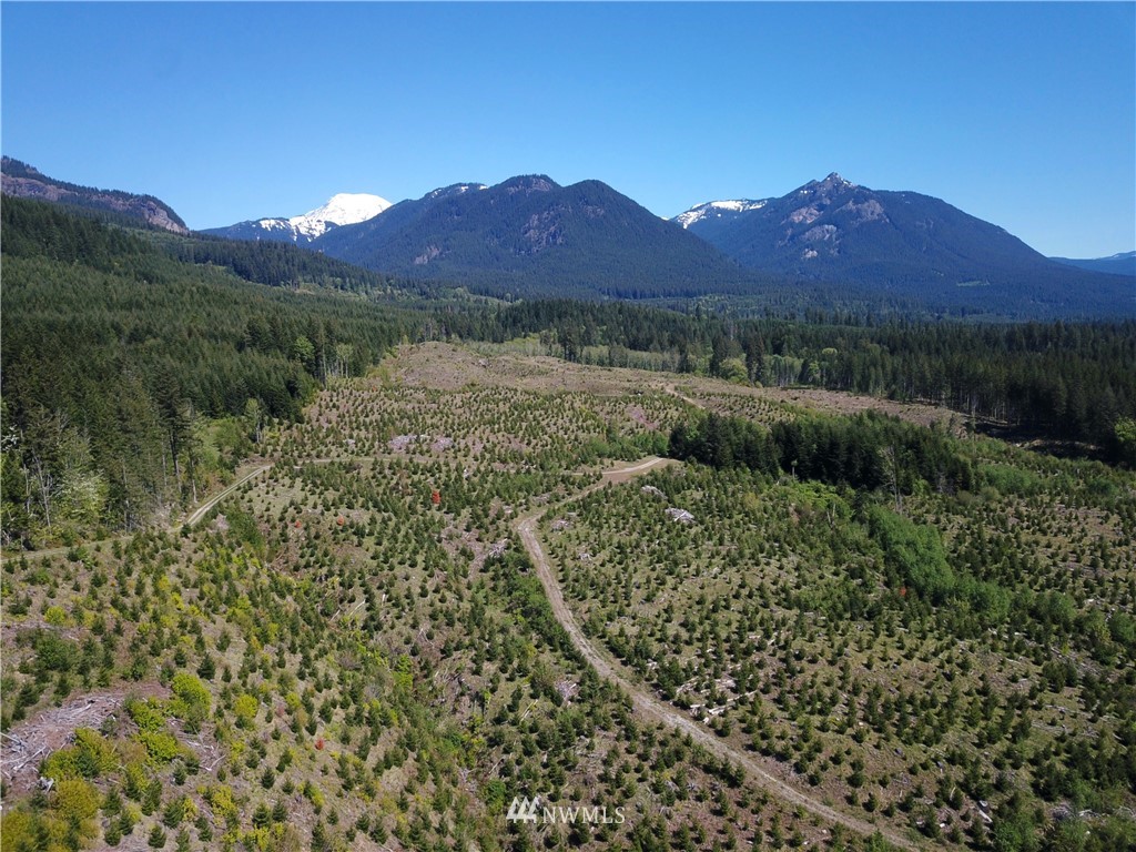 -off Off Craig (upper) Road Packwood, WA 98361 - Photo 3 of 5 Gallery Image 3