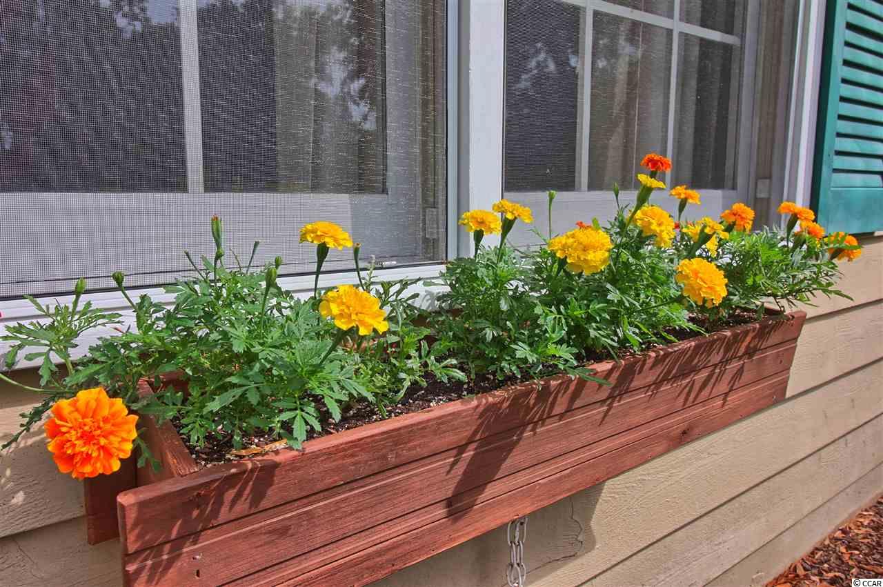 894 Planters Trace Loop Murrells Inlet, SC 29576 - Photo 24 of 25 Gallery Image 24