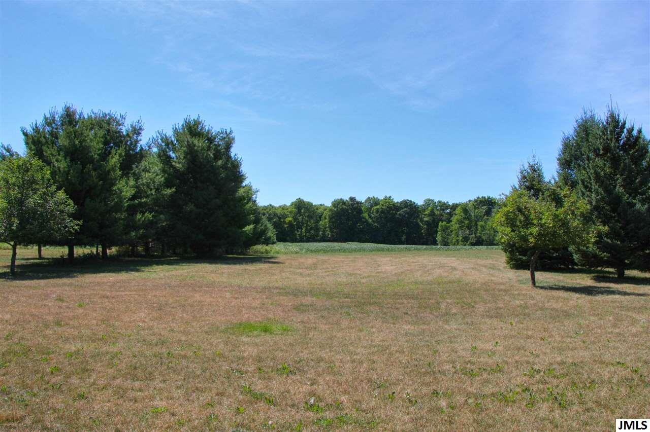 7034 Maple Dale Road Horton, MI 49246 - Photo 4 of 36 Photo 4