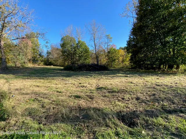 a picture of a person