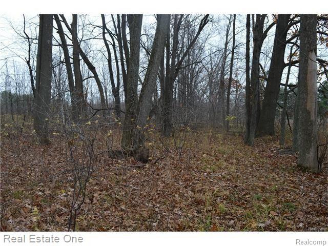 Par B Musson Road Howell, MI 48855 - Photo 18 of 28