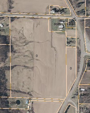 0 Springville Boston Road Springville, NY 14141 - Photo 1 of 1