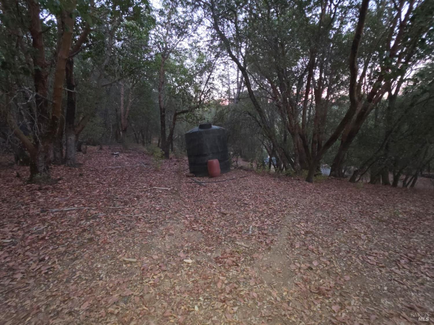 20655 Etsel Ridge Road Covelo, CA 95428 - Photo 30 of 37 Gallery Image 30