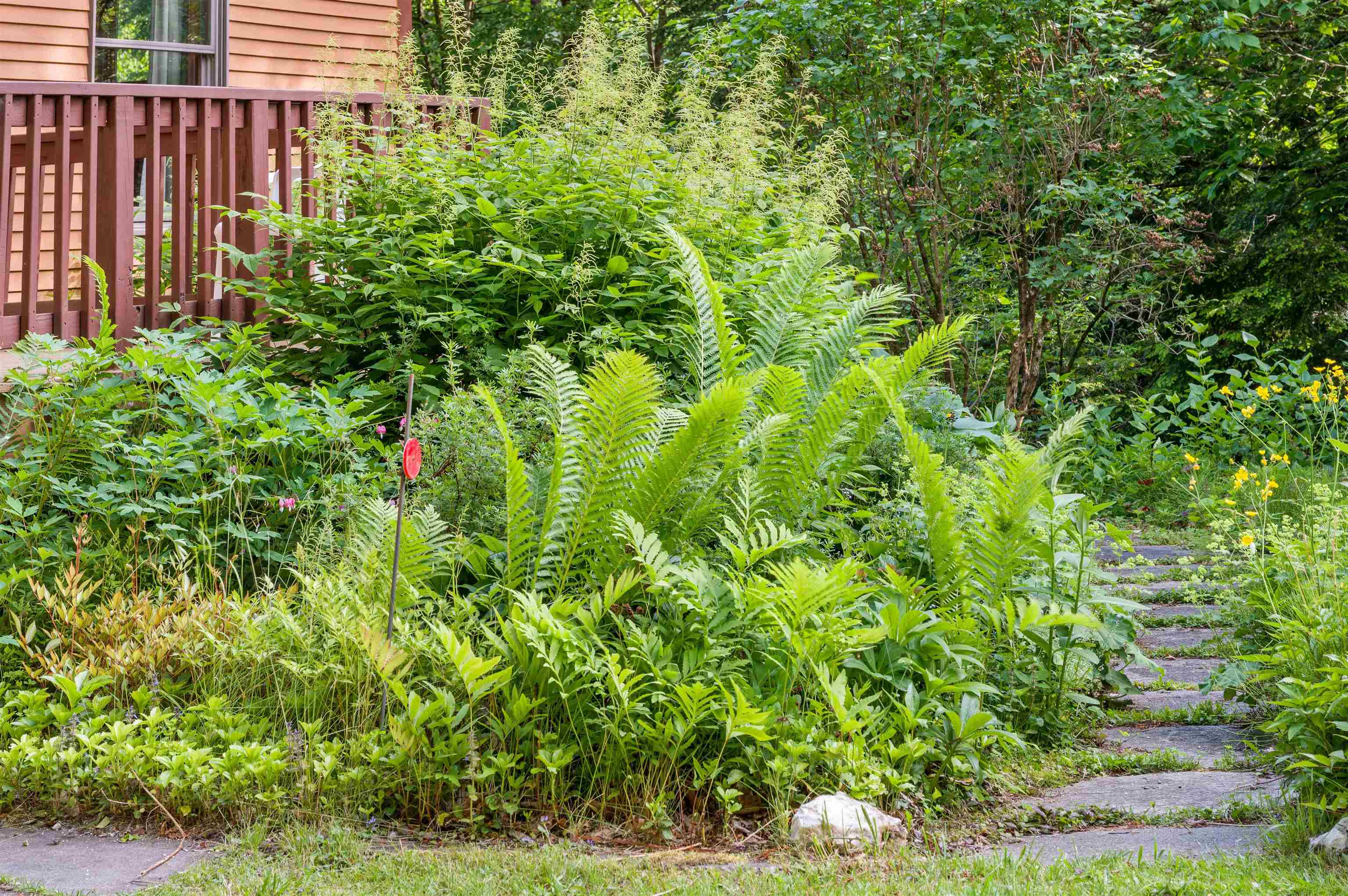 254 Macey Road Middlesex, VT 05682 - Photo 43 of 49