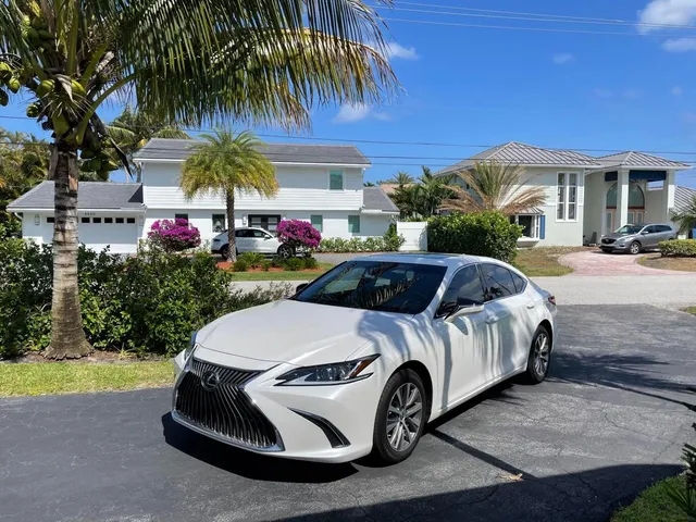 a front view of house with yard and trees