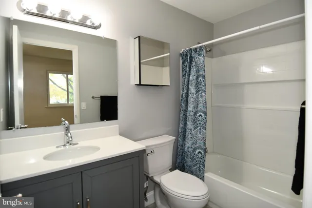 a bathroom with a sink a toilet and mirror