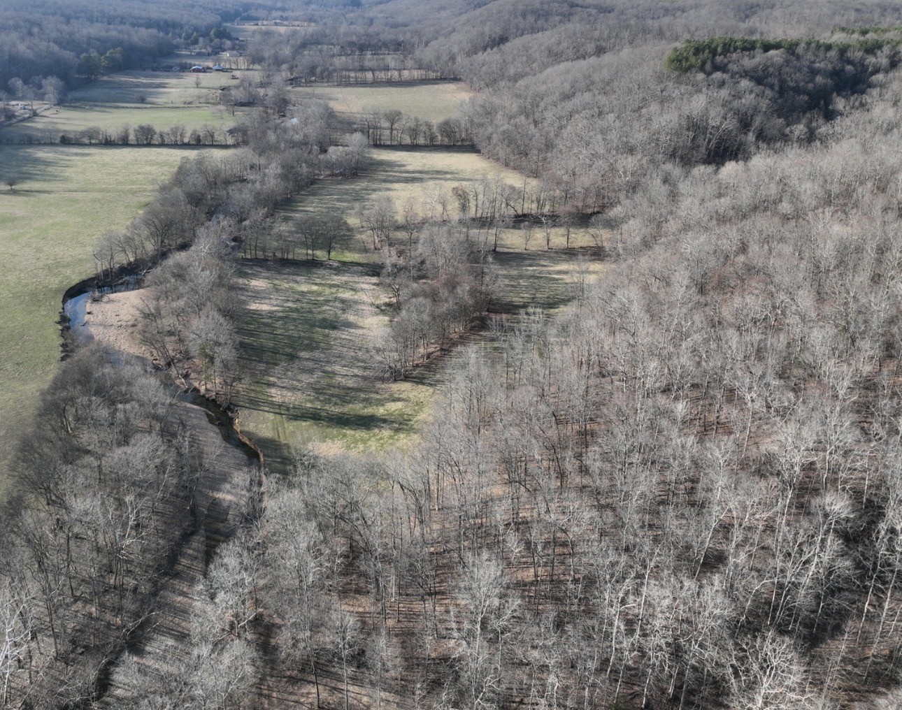 0 Upper Standing Rock Road Dover, TN 37058 - Photo 16 of 32 Gallery Image 16