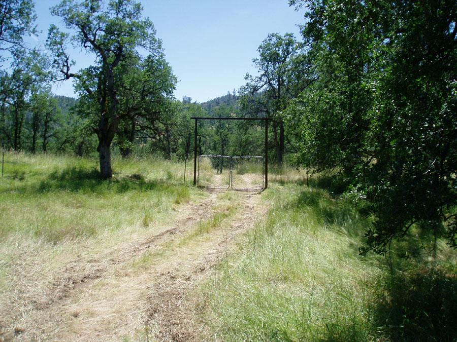 Lot 74 Straight Arrow Road Igo, CA 96047 - Photo 3 of 11 a view of a forest