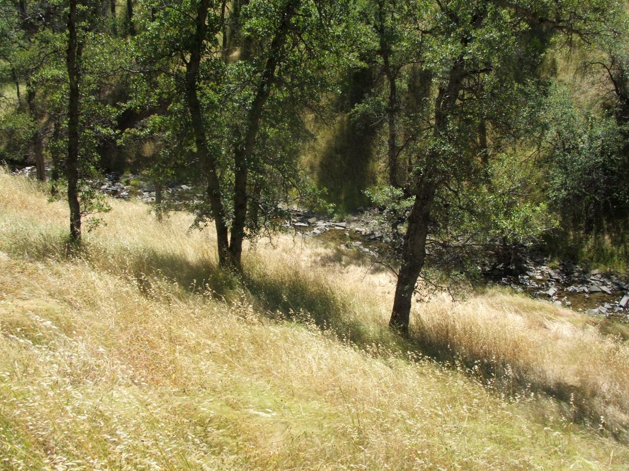 Lot 74 Straight Arrow Road Igo, CA 96047 - Photo 5 of 11 a view of water yard