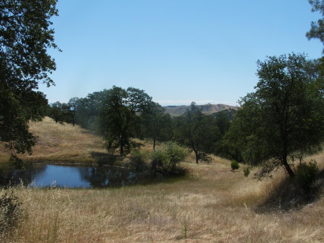 Lot 74 Straight Arrow Road Igo, CA 96047 - Photo 6 of 11 a view of outdoor space and yard